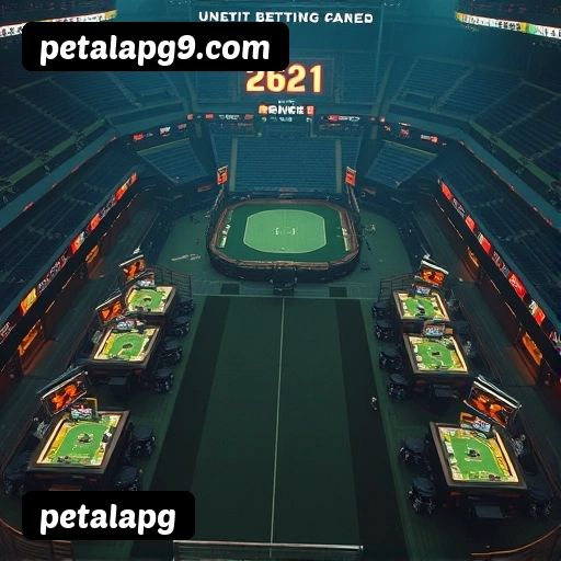 Estatísticas de bônus da petalapg em São Paulo, Rio de Janeiro e Brasília